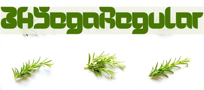 3HSegaRegular Font examples