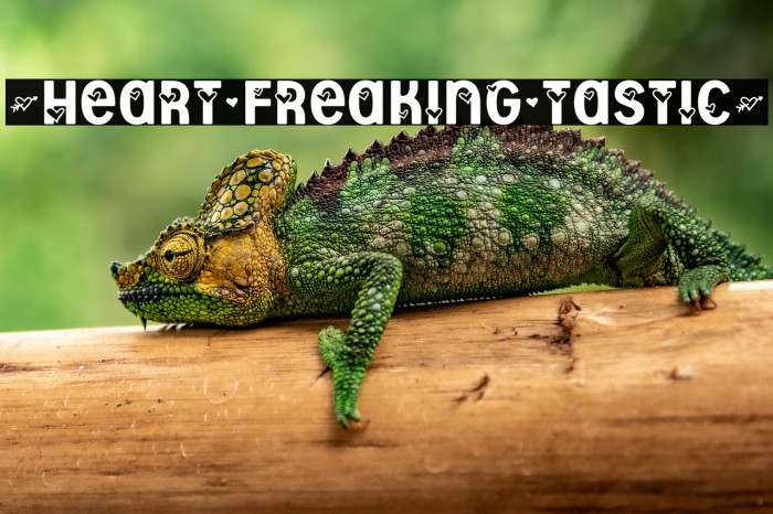 *Heart^Freaking^Tastic* Example 1