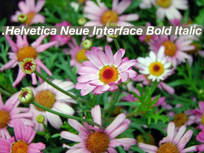 .Helvetica Neue Interface Bold Italic Example 1