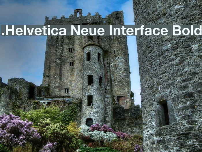 .Helvetica Neue Interface Bold Example 2