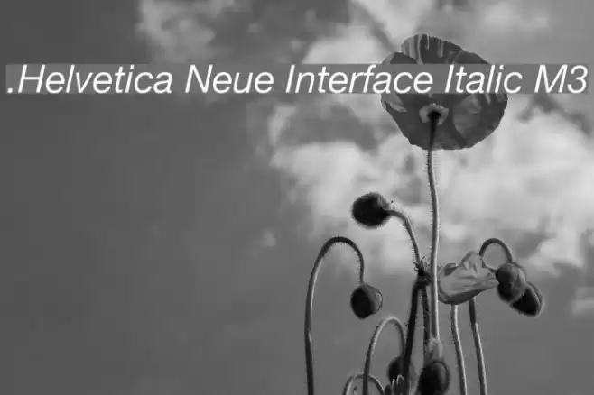 .Helvetica Neue Interface Italic M3 Schriftart examples