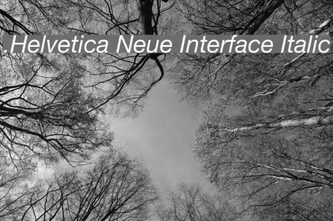 .Helvetica Neue Interface Italic Font examples
