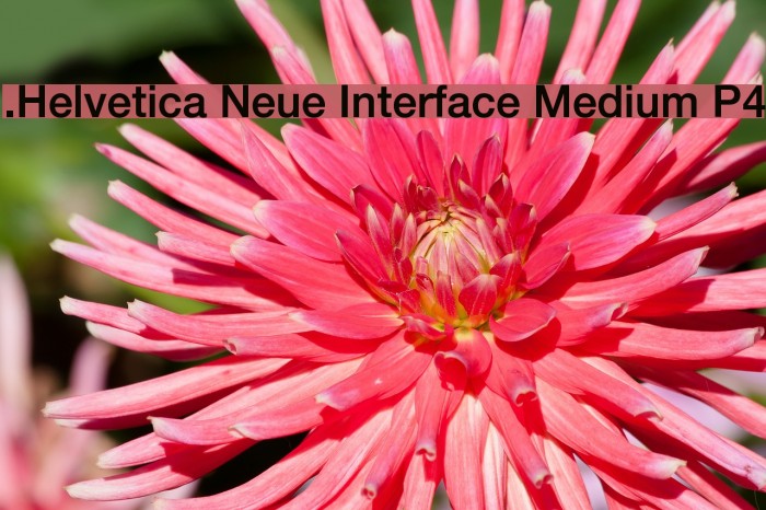 .Helvetica Neue Interface Medium P4 Font examples