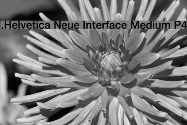 .Helvetica Neue Interface Medium P4 Font examples