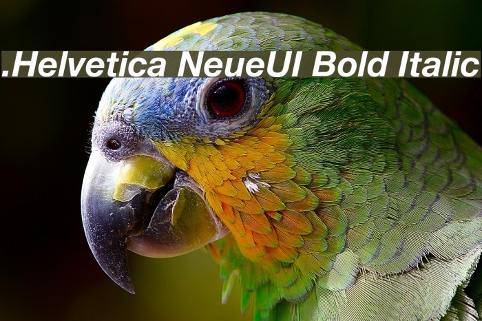 .Helvetica NeueUI Bold Italic Example 1