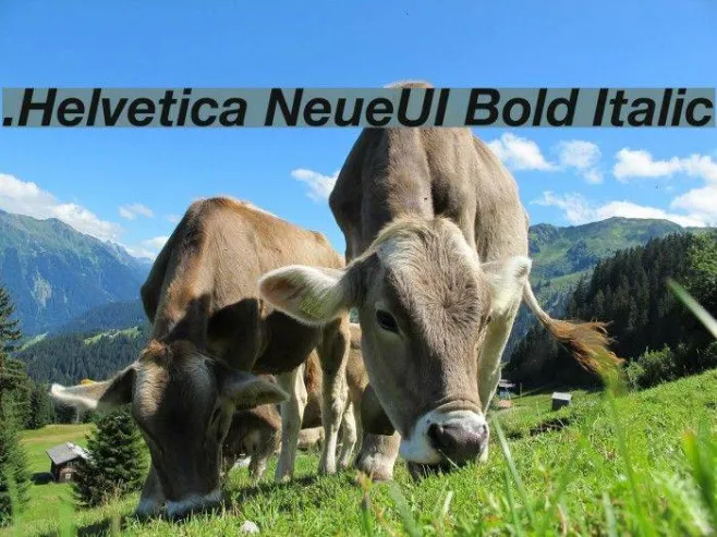 .Helvetica NeueUI Bold Italic Example 3