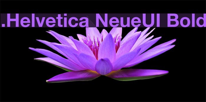 .Helvetica NeueUI Bold Example 3