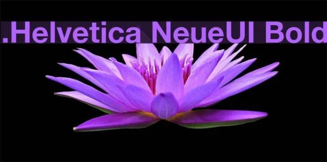 .Helvetica NeueUI Bold Example 3