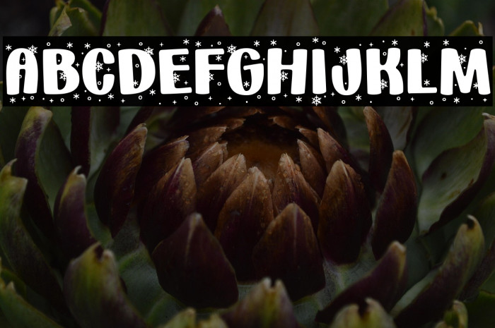 _Holiday * Snowflakes_ Regular Example 1