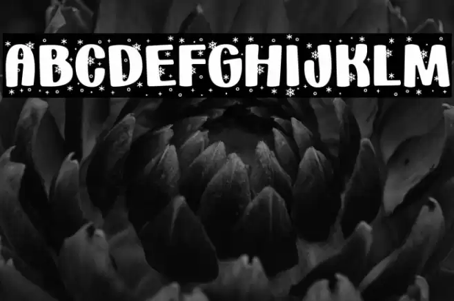 _Holiday * Snowflakes_ Regular Font examples