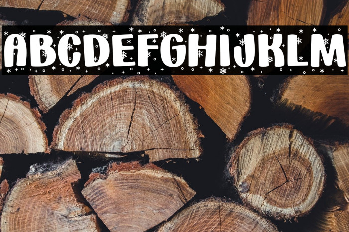 _Holiday * Snowflakes_ Regular Example 3