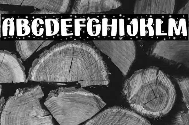 _Holiday * Snowflakes_ Regular Font examples