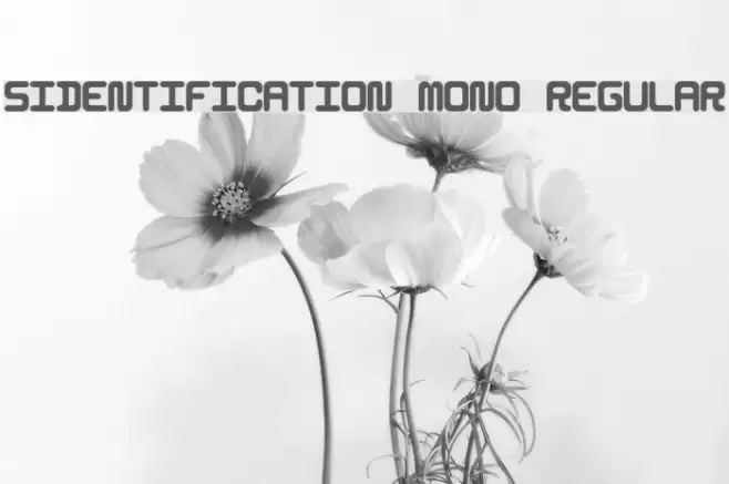 5Identification Mono Regular Font examples