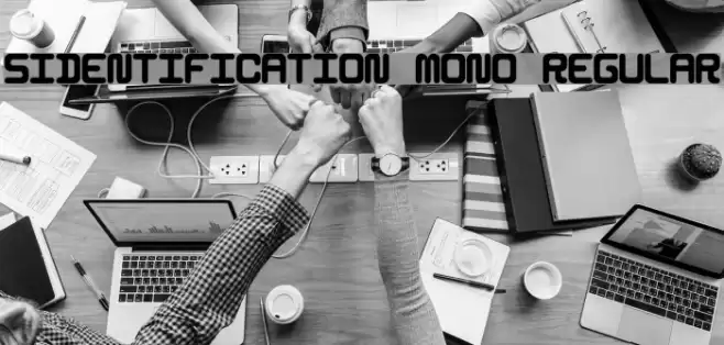 5Identification Mono Regular Font examples