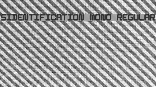 5Identification Mono Regular Шрифта examples