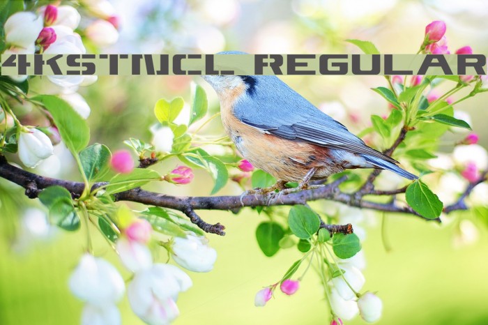 4KSTNCL Regular Example 1