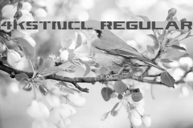 4KSTNCL Regular Font examples
