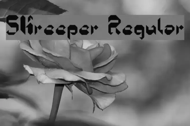 5Kreeper Regular خط examples