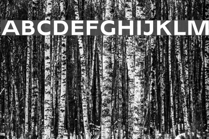 2MASSJ1808-Heavy Font examples