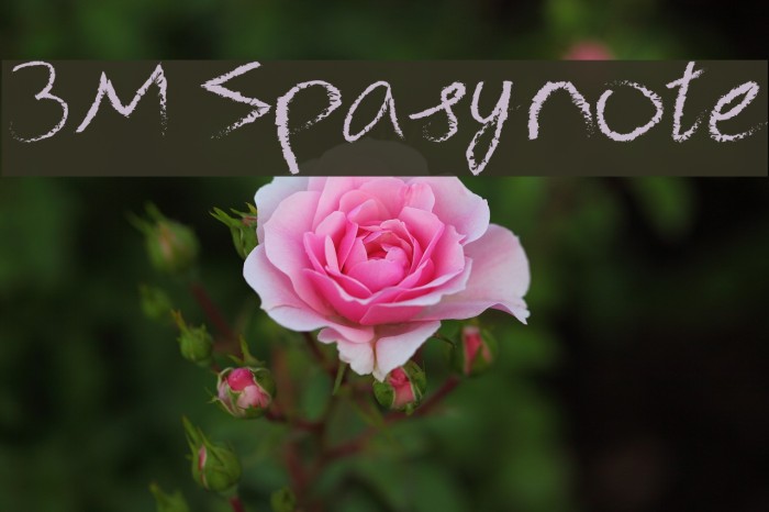3M Spasynote Шрифта examples