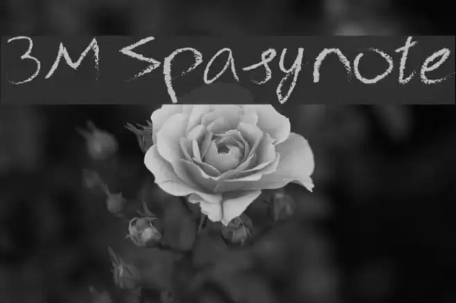3M Spasynote Шрифта examples