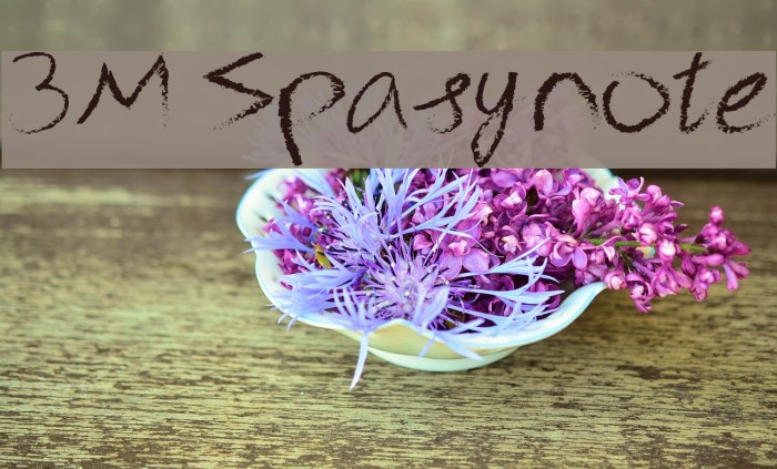 3M Spasynote Шрифта examples