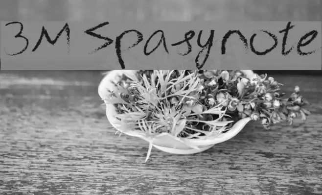 3M Spasynote Шрифта examples