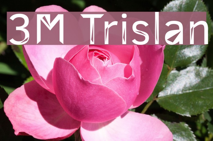 3M Trislan Font examples