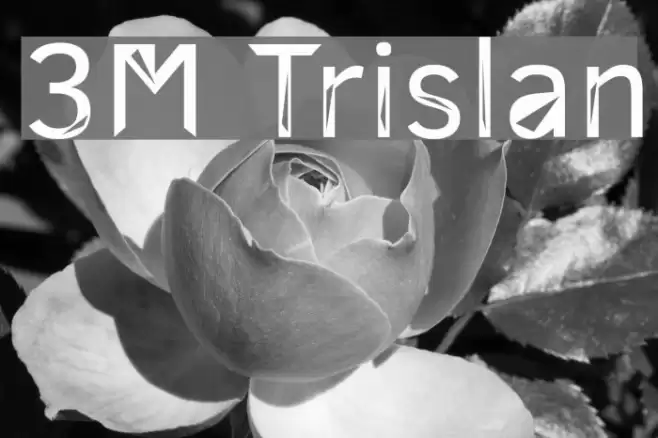 3M Trislan Font examples