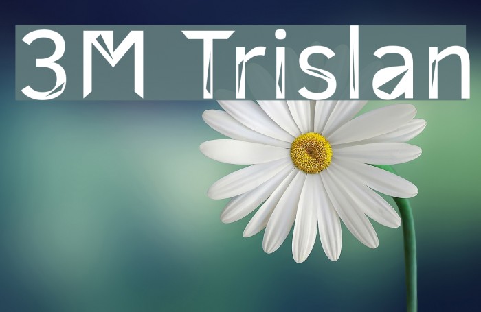3M Trislan Font examples