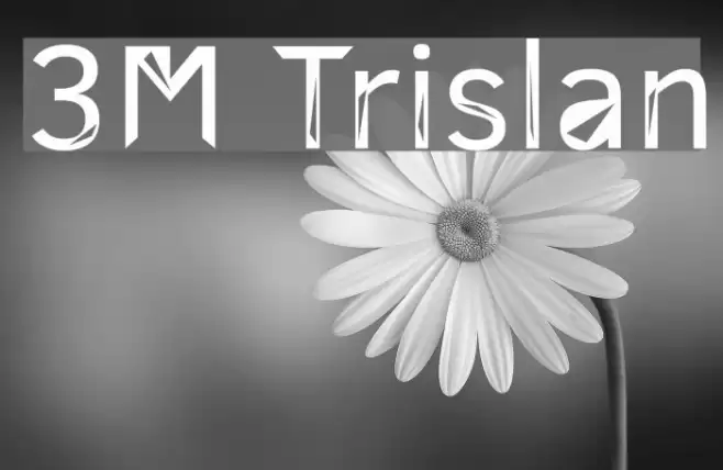 3M Trislan Font examples