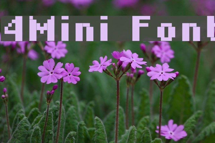 4Mini Font examples