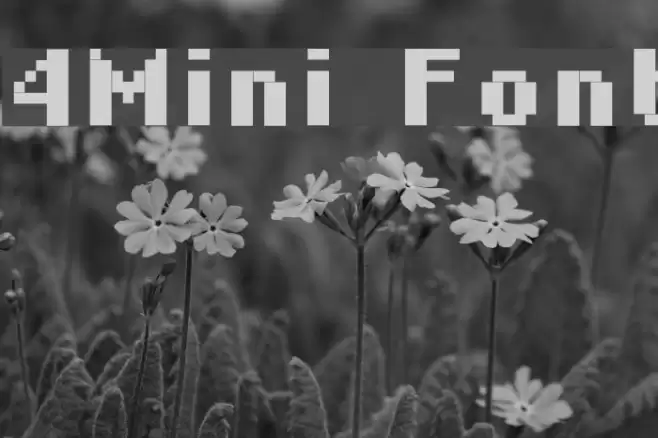 4Mini Font examples