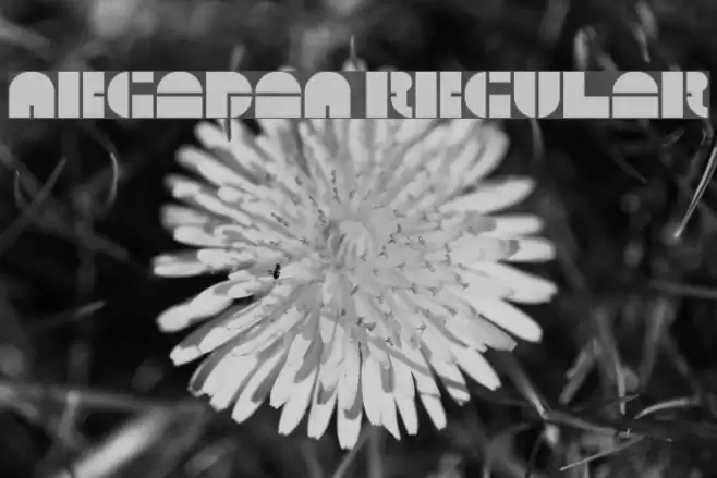 5Megabam Regular Font examples