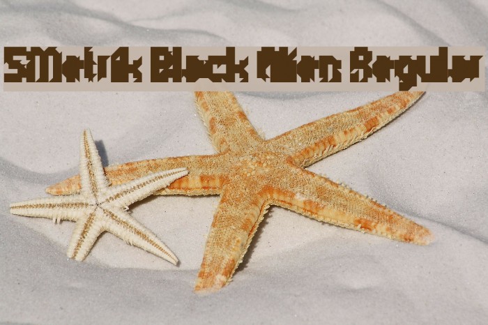 5Metrik Black Alien Regular Polices examples