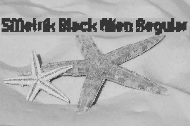 5Metrik Black Alien Regular Font examples