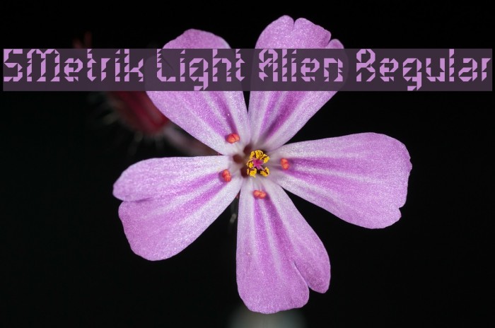 5Metrik Light Alien Regular Font examples