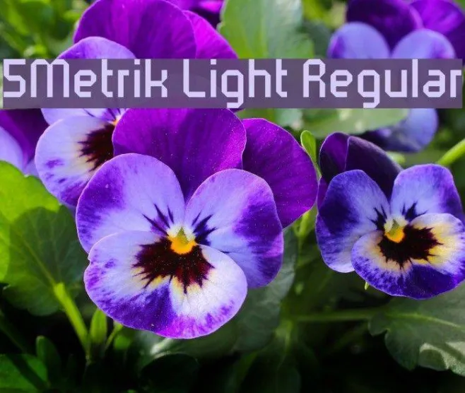 5Metrik Light Regular Example 1