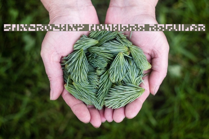 5Microchip Nowhere Regular Example 1