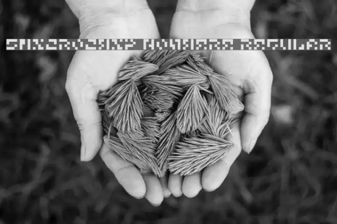 5Microchip Nowhere Regular Font examples