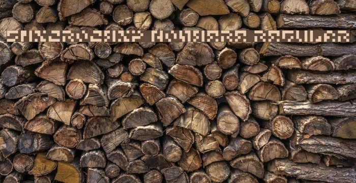 5Microchip Nowhere Regular Example 2