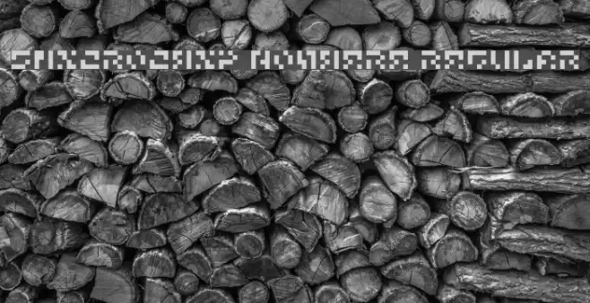 5Microchip Nowhere Regular Font examples