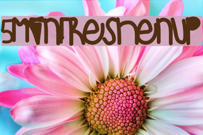 5MinFreshenUp Font examples