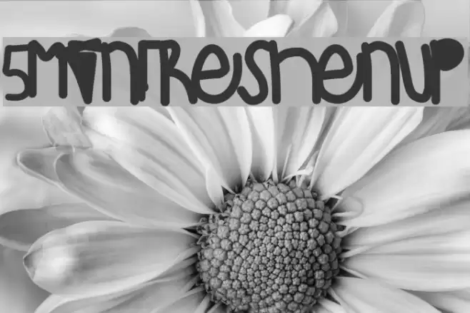5MinFreshenUp Font examples
