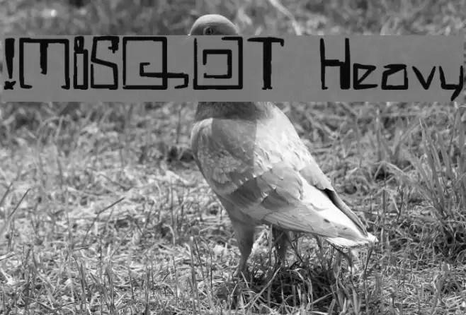 !MISQOT Heavy Font examples