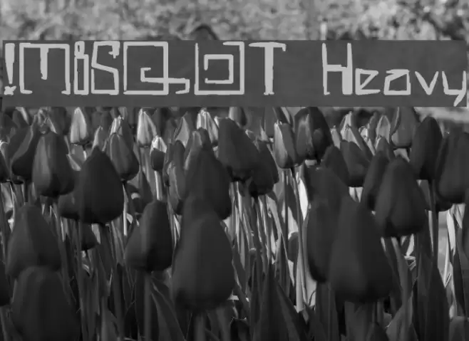 !MISQOT Heavy Font examples