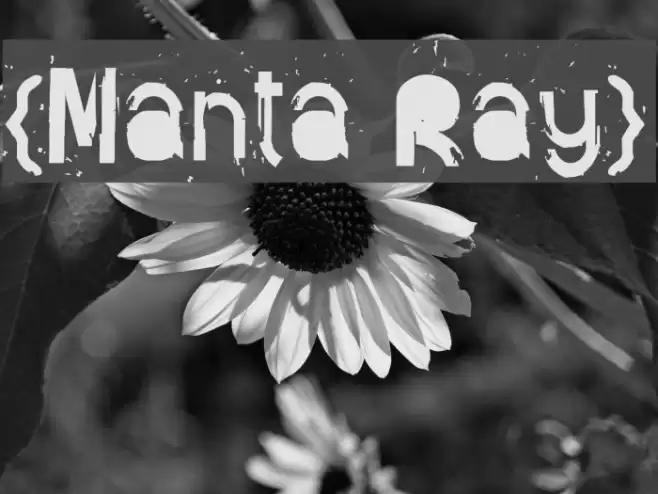 {Manta Ray} Font examples