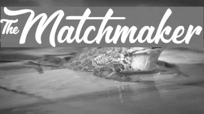 &Matchmaker Fuentes examples