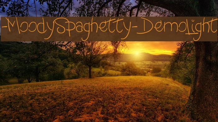 -MoodySpaghetty-DemoLight Font examples