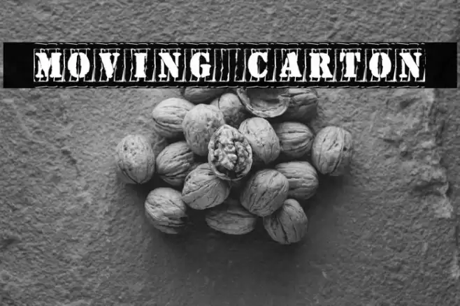 [Moving_Carton] Font examples